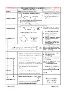 ΠΡΟΣΩΚΡΑΤΙΚΟΙ  ΦΙΛΟΣΟΦΟΙ